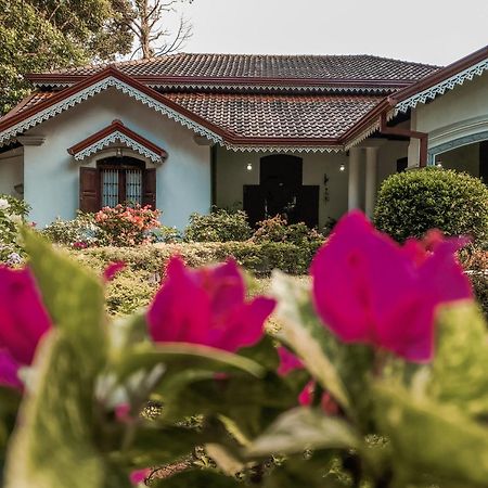 كتولغالا Kithulvilla Holiday Bungalow المظهر الخارجي الصورة