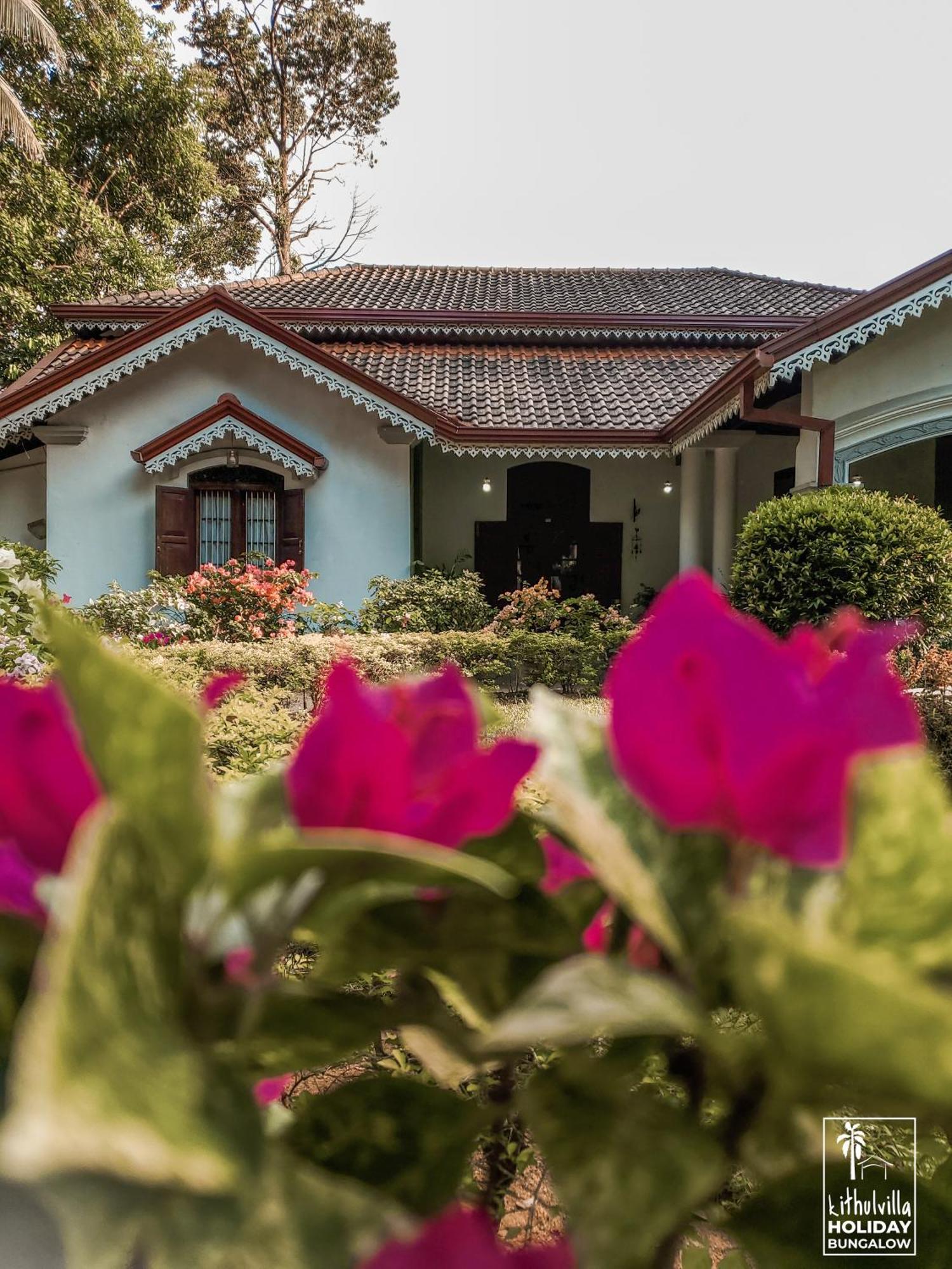 كتولغالا Kithulvilla Holiday Bungalow المظهر الخارجي الصورة