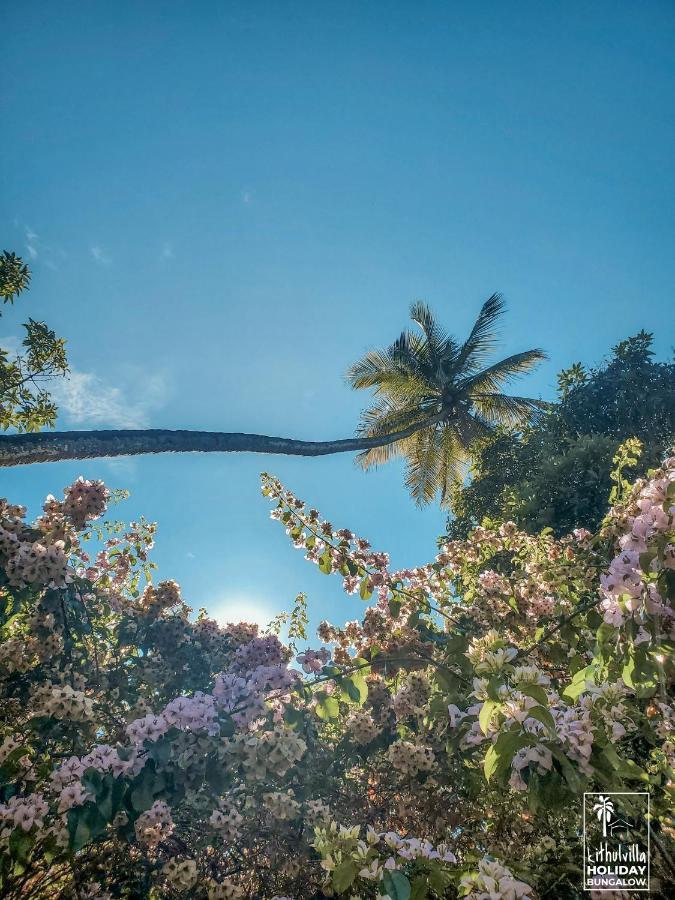 كتولغالا Kithulvilla Holiday Bungalow المظهر الخارجي الصورة