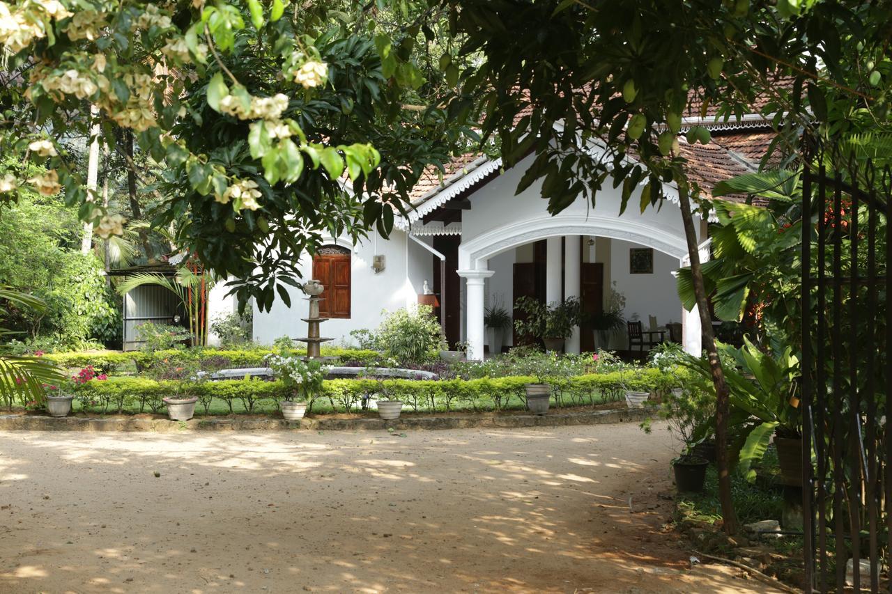كتولغالا Kithulvilla Holiday Bungalow المظهر الخارجي الصورة